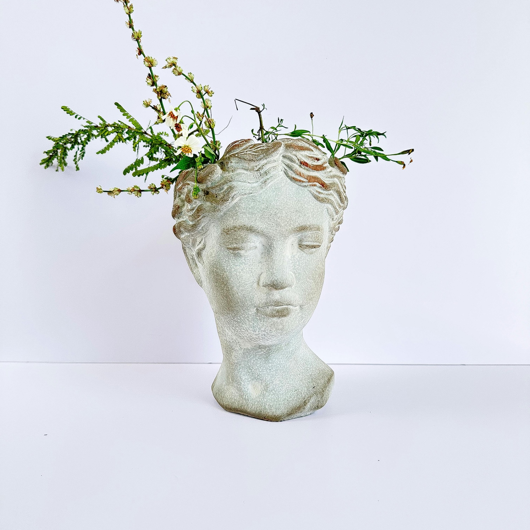 Brain Health Assessment 